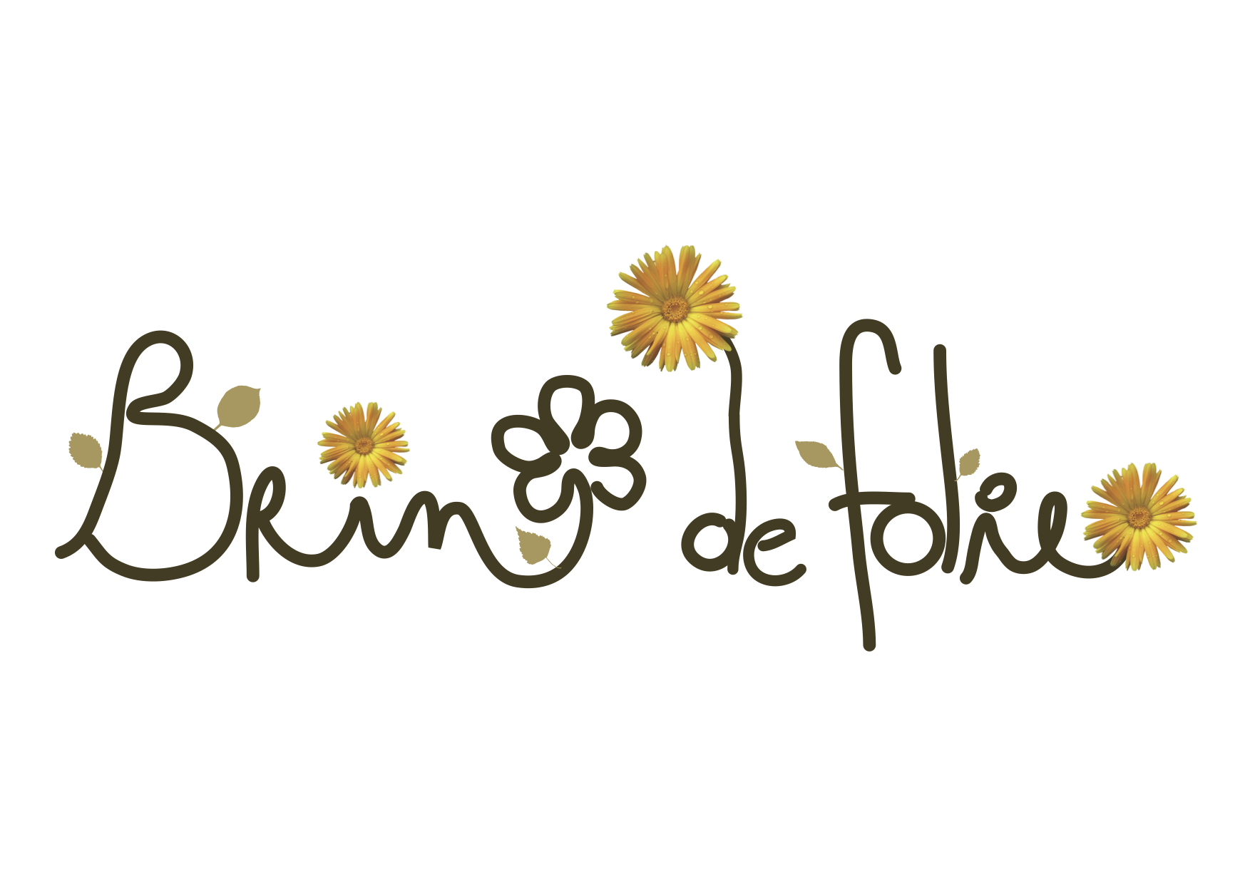 Brin de folie